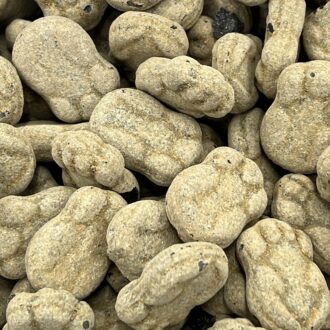 Grahns SalmiakkiSammakko (Pulverfylld Padda)